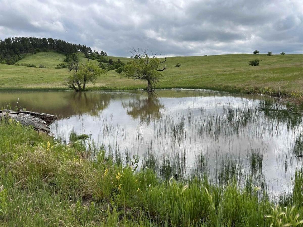 Picture of Residential Land For Sale in Whitewood, South Dakota, United States