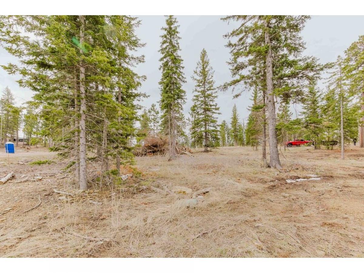 Picture of Residential Land For Sale in Lead, South Dakota, United States