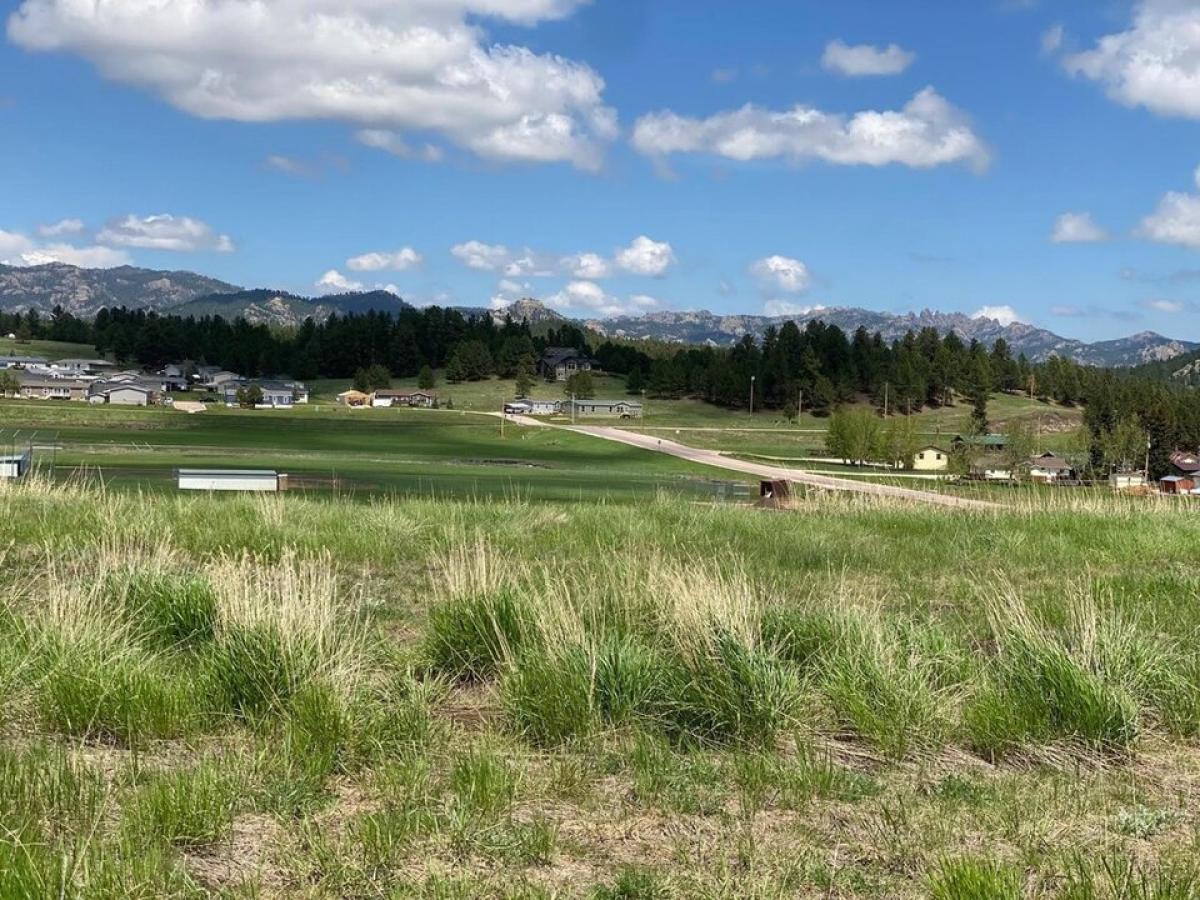 Picture of Residential Land For Sale in Custer, South Dakota, United States