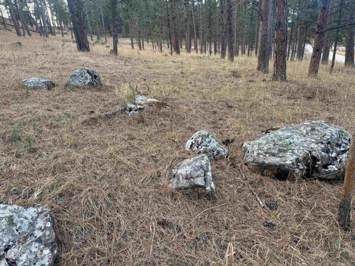 Picture of Residential Land For Sale in Custer, South Dakota, United States