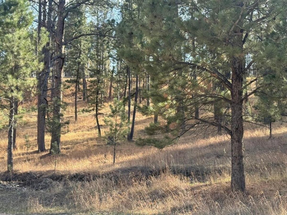 Picture of Residential Land For Sale in Custer, South Dakota, United States