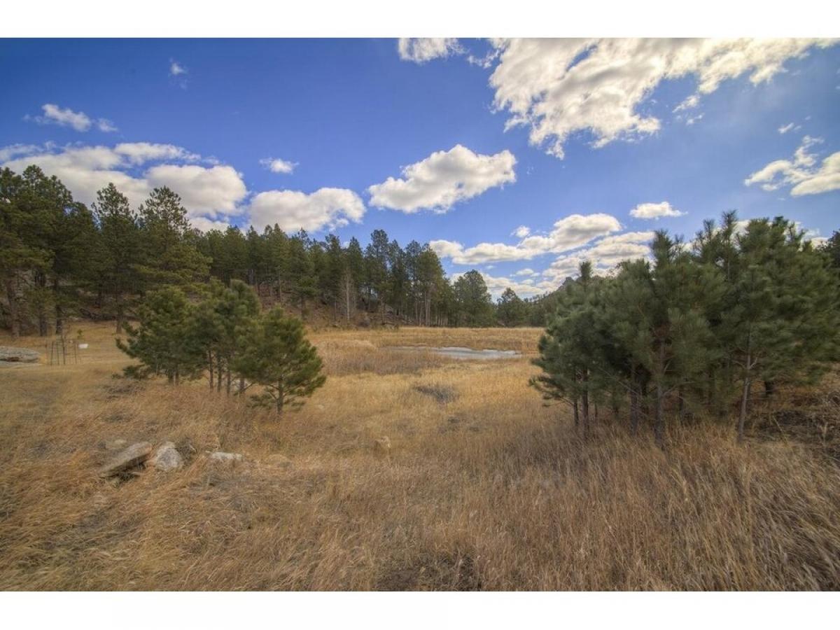 Picture of Residential Land For Sale in Custer, South Dakota, United States