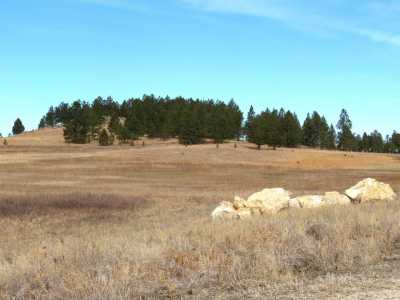 Residential Land For Sale in Custer, South Dakota