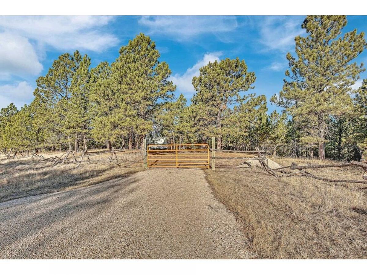 Picture of Residential Land For Sale in Custer, South Dakota, United States