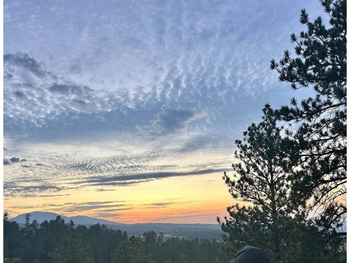 Picture of Residential Land For Sale in Spearfish, South Dakota, United States