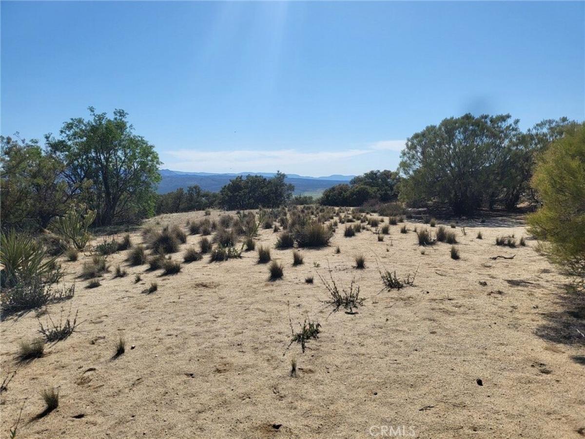 Picture of Residential Land For Sale in Anza, California, United States