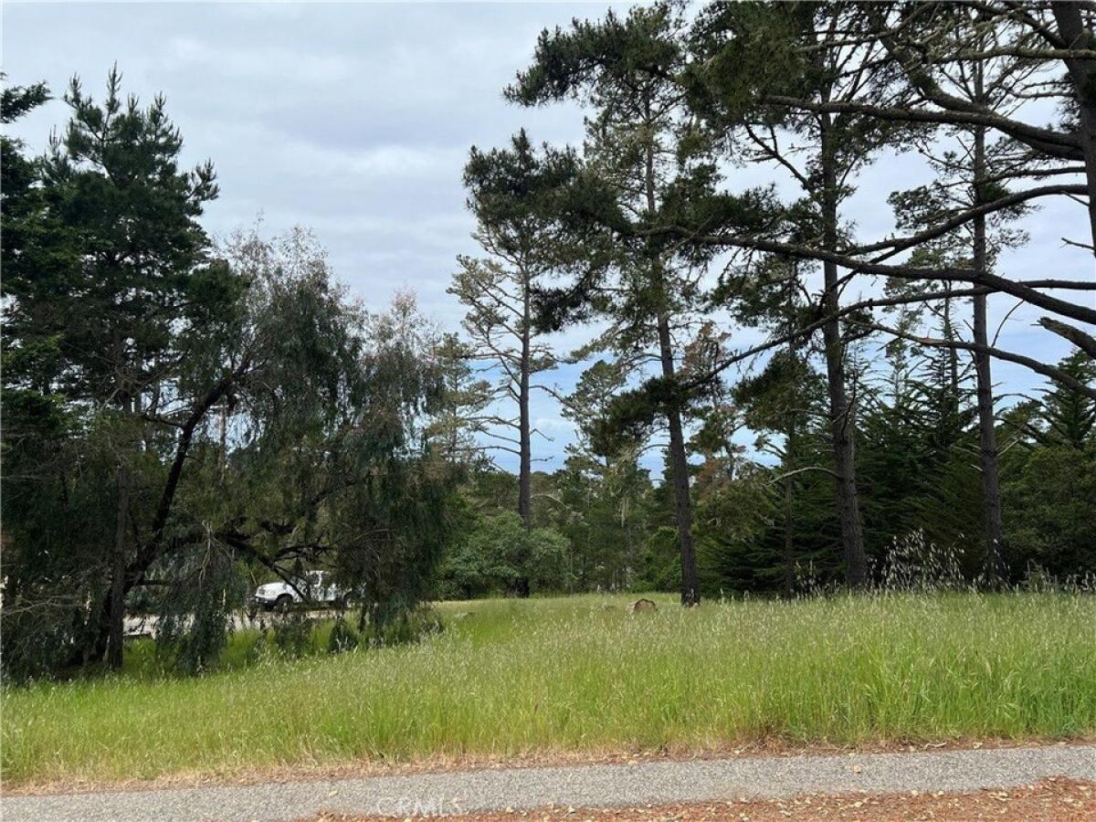 Picture of Residential Land For Sale in Cambria, California, United States