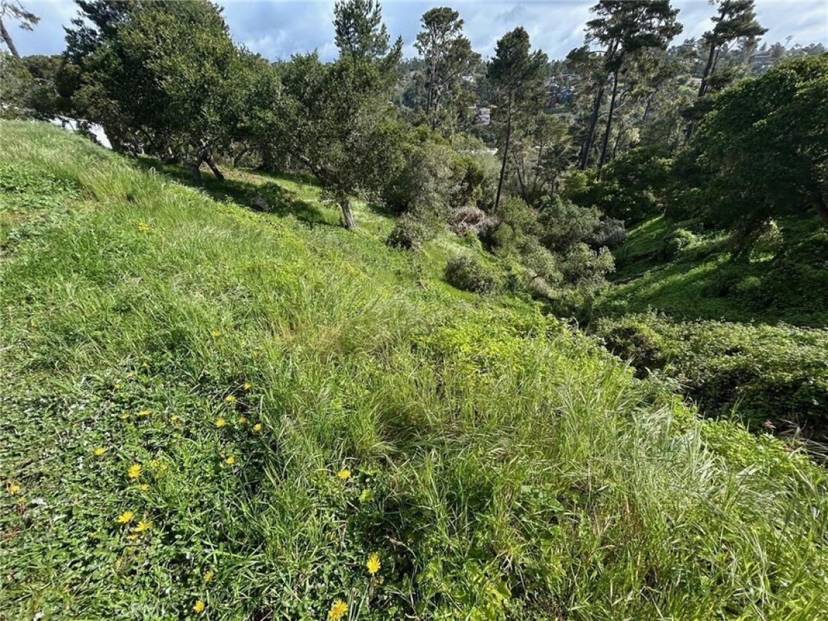 Picture of Residential Land For Rent in Cambria, California, United States