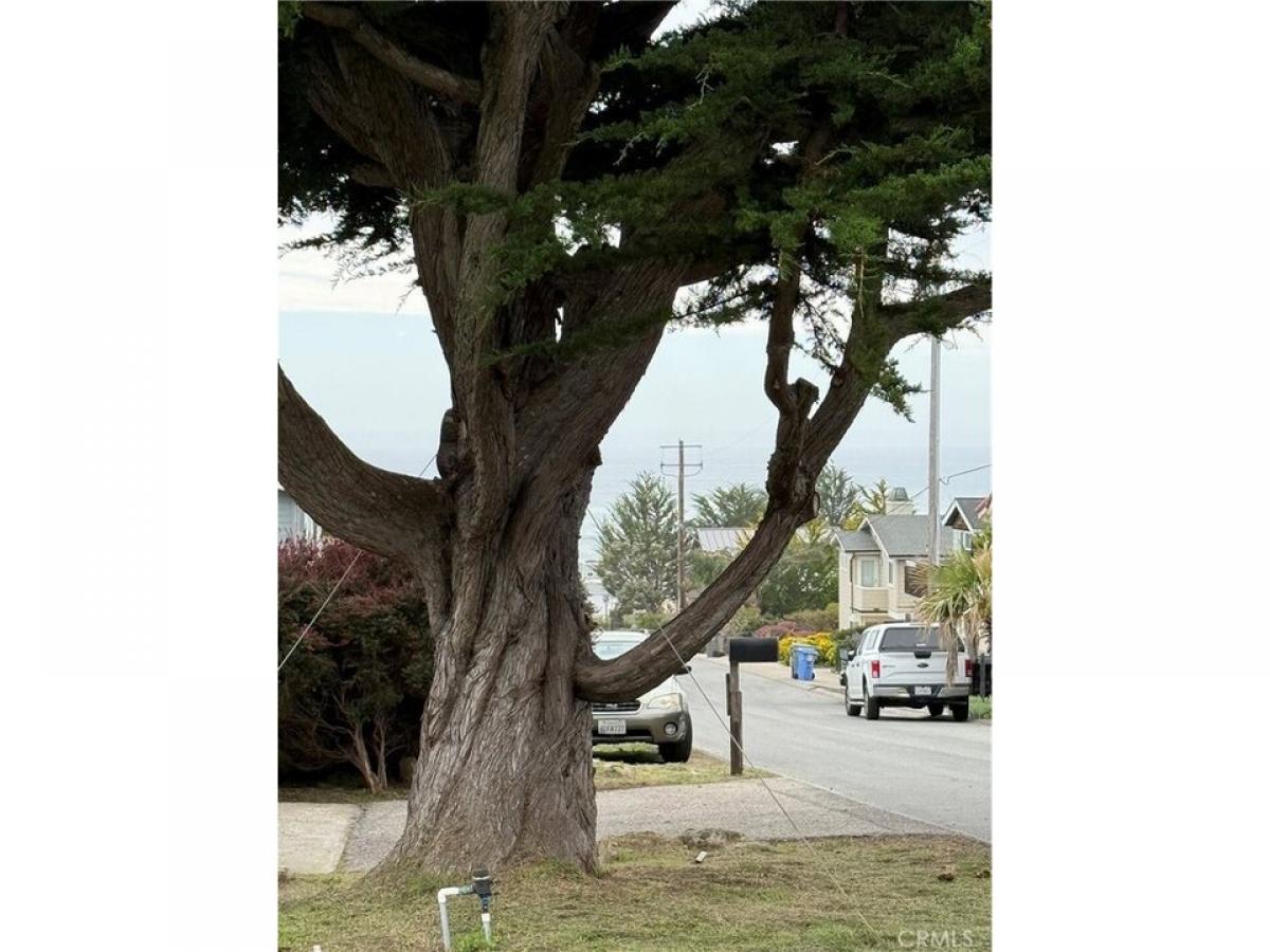 Picture of Residential Land For Sale in Cambria, California, United States