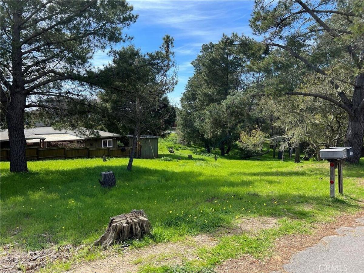 Picture of Residential Land For Sale in Cambria, California, United States