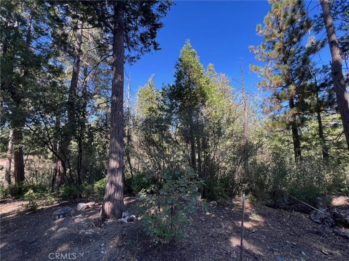 Picture of Residential Land For Sale in Lake Arrowhead, California, United States