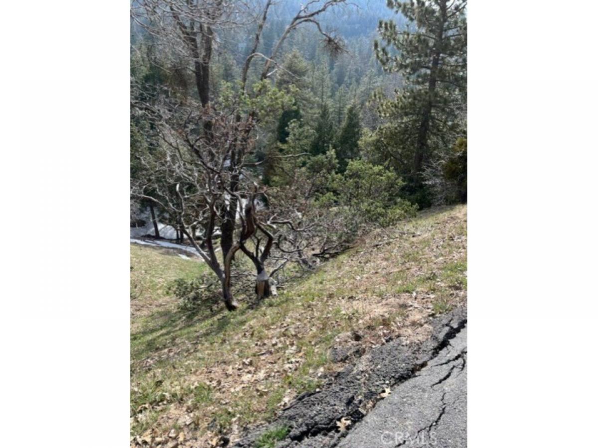 Picture of Residential Land For Sale in Crestline, California, United States