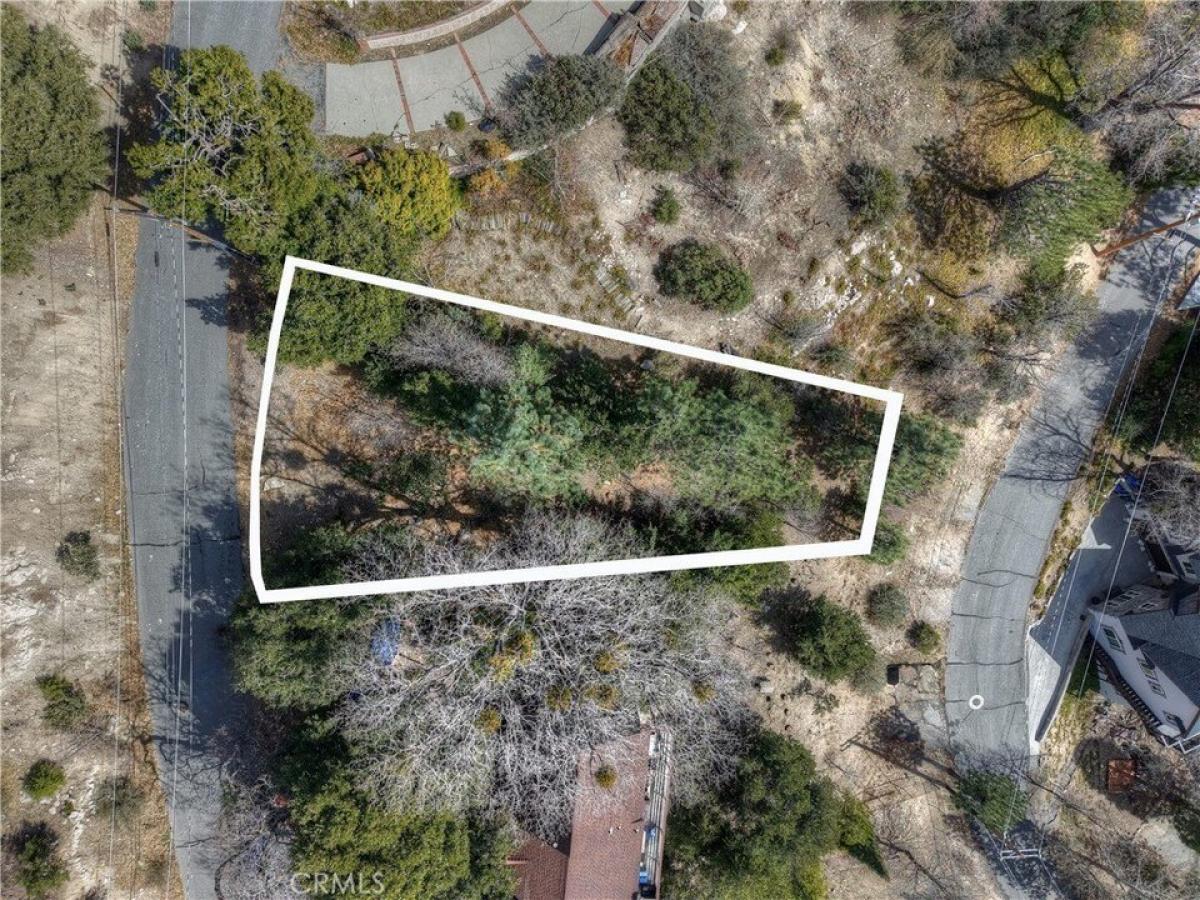 Picture of Residential Land For Sale in Lake Arrowhead, California, United States