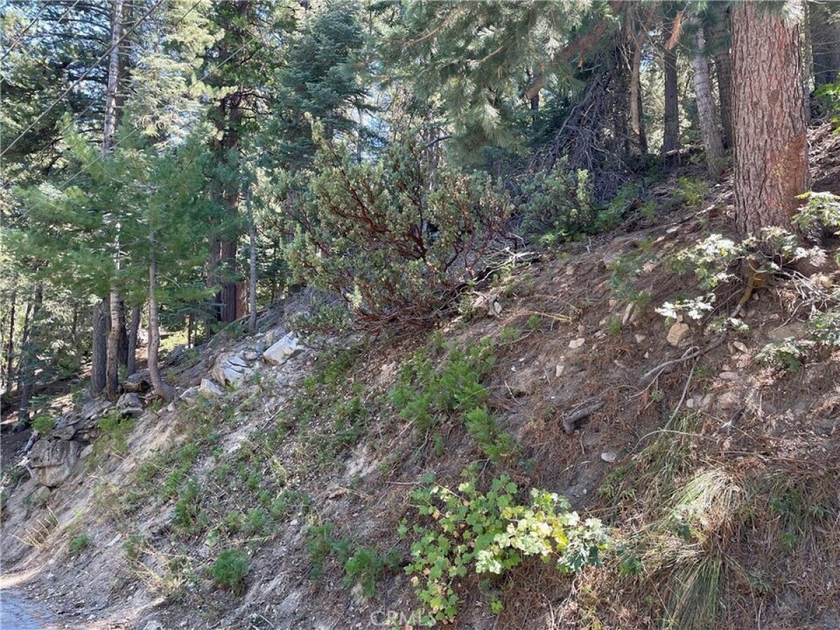 Picture of Residential Land For Rent in Twin Peaks, California, United States