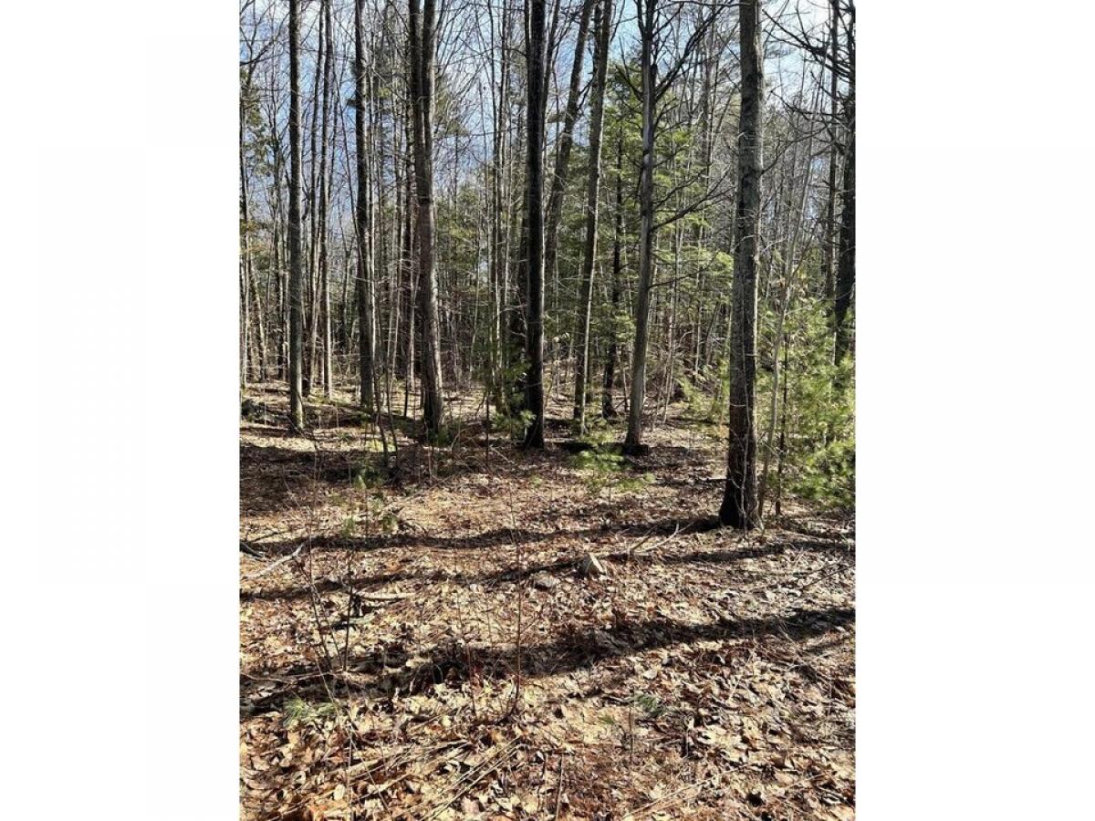 Picture of Residential Land For Sale in York, Maine, United States