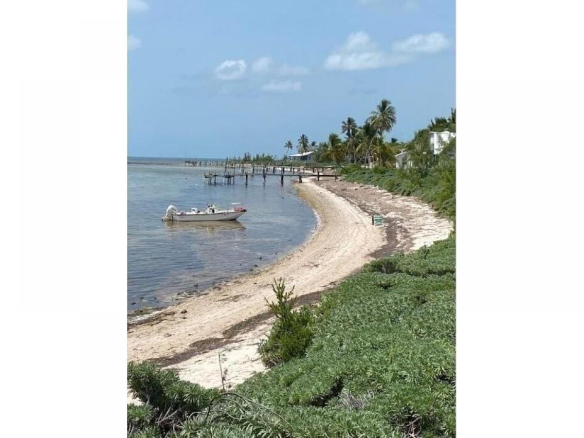 Picture of Residential Land For Sale in Cook Island Key, Florida, United States