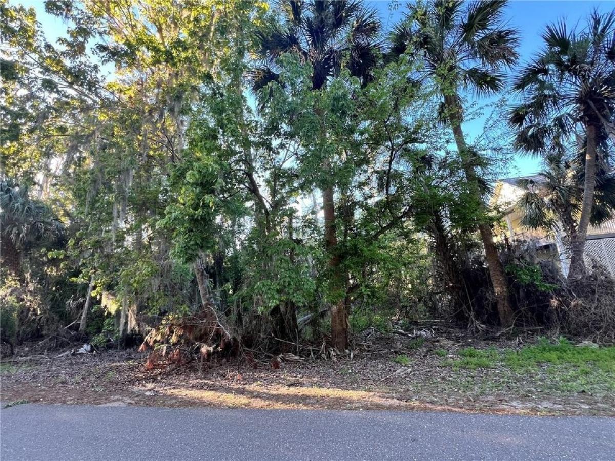 Picture of Residential Land For Sale in Deltona, Florida, United States