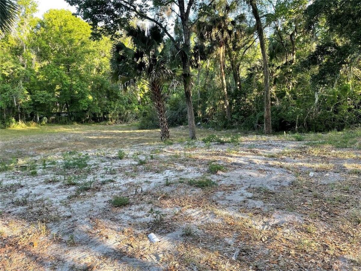 Picture of Residential Land For Sale in De Leon Springs, Florida, United States