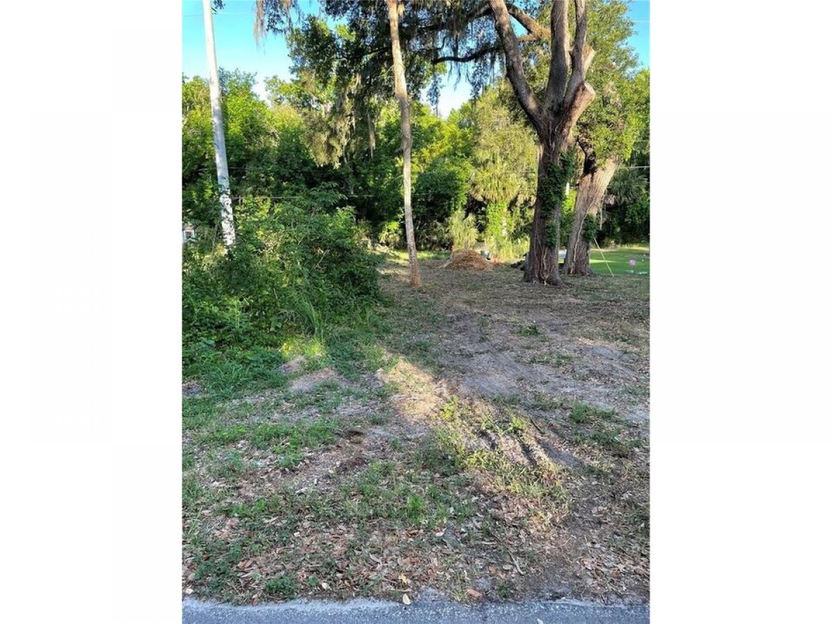 Picture of Residential Land For Sale in De Leon Springs, Florida, United States