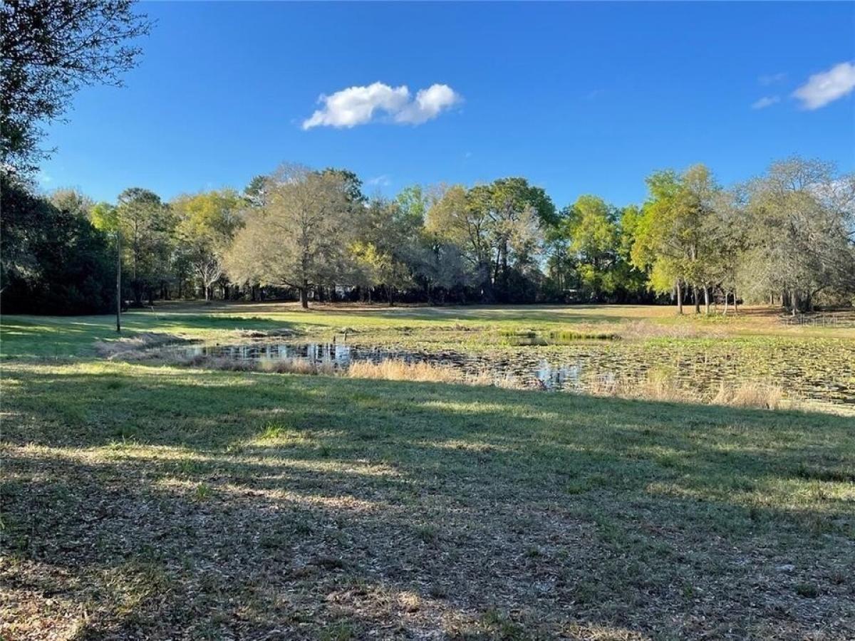 Picture of Residential Land For Sale in Deland, Florida, United States