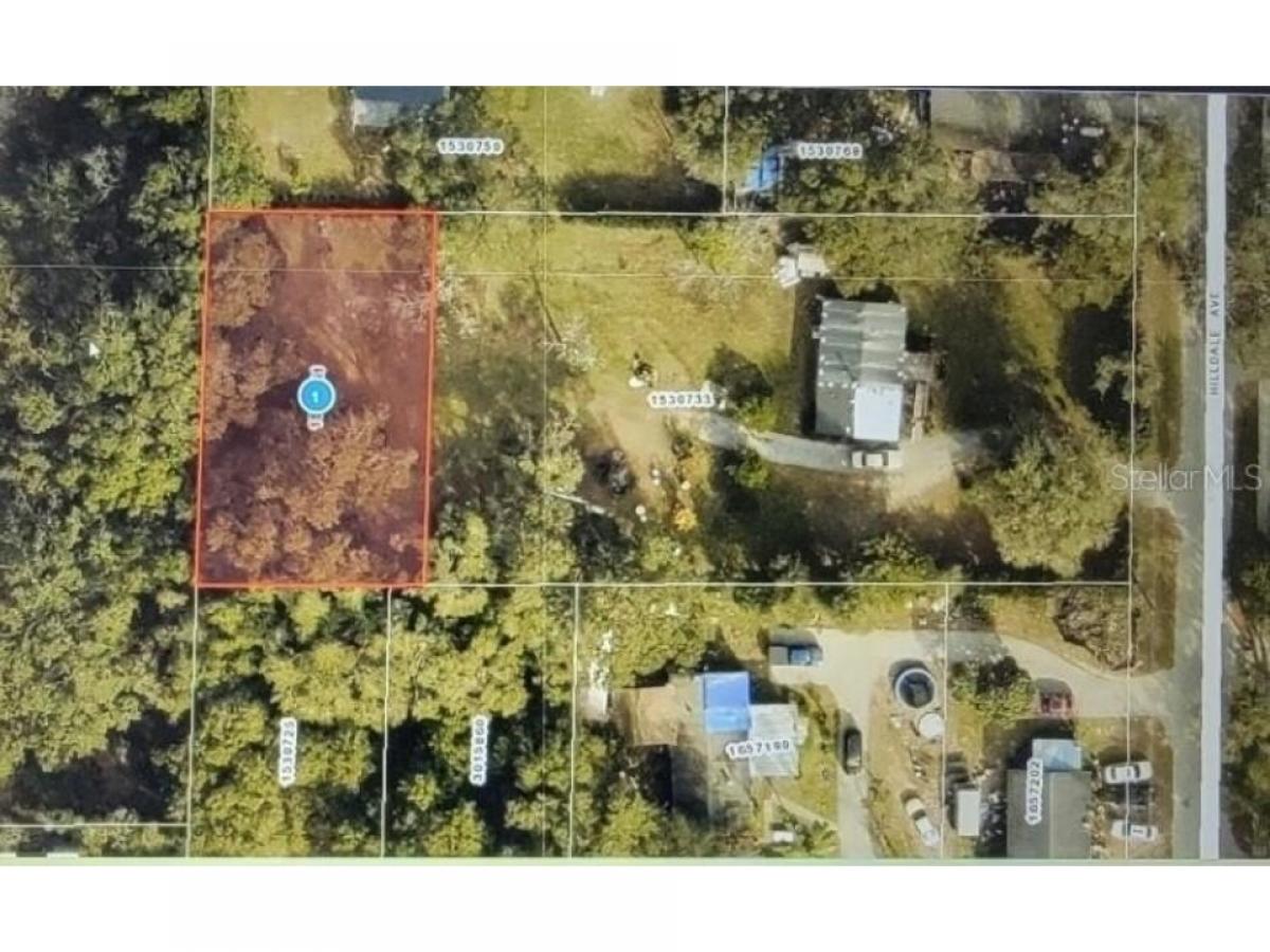 Picture of Residential Land For Sale in Sorrento, Florida, United States
