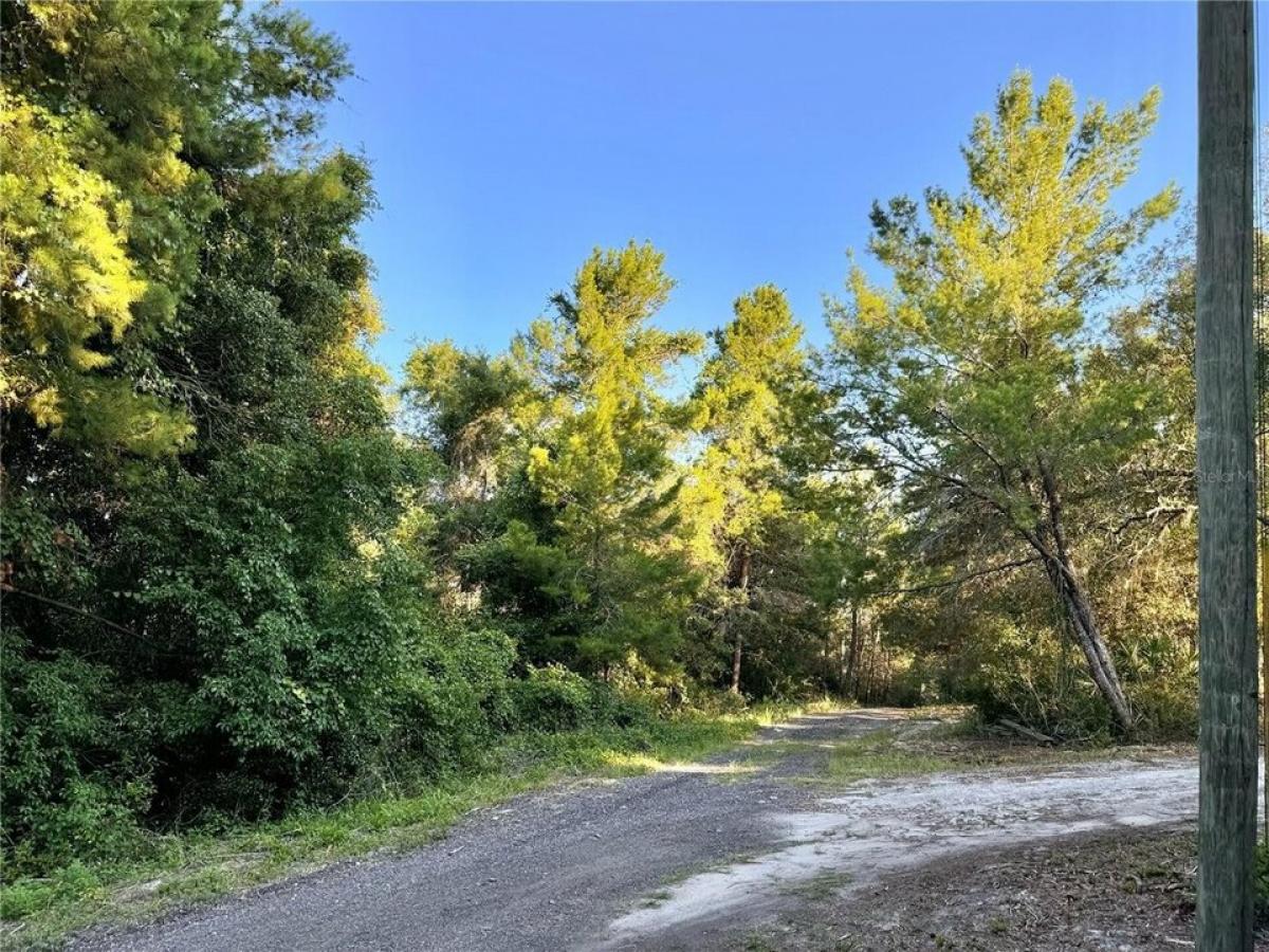 Picture of Residential Land For Sale in De Leon Springs, Florida, United States