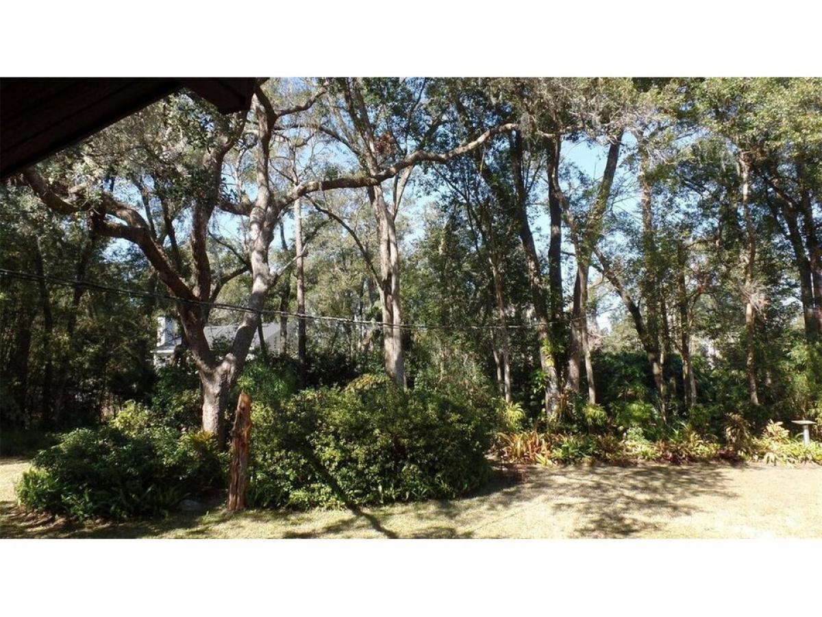 Picture of Residential Land For Sale in Deland, Florida, United States