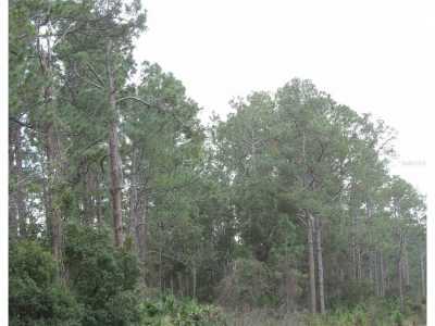 Residential Land For Sale in Deland, Florida