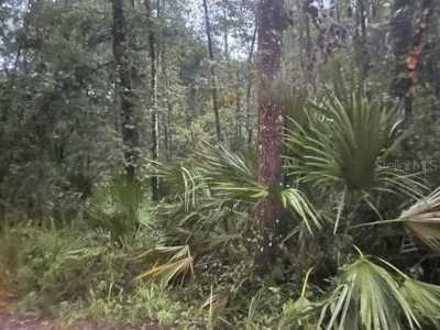 Residential Land For Sale in De Leon Springs, Florida