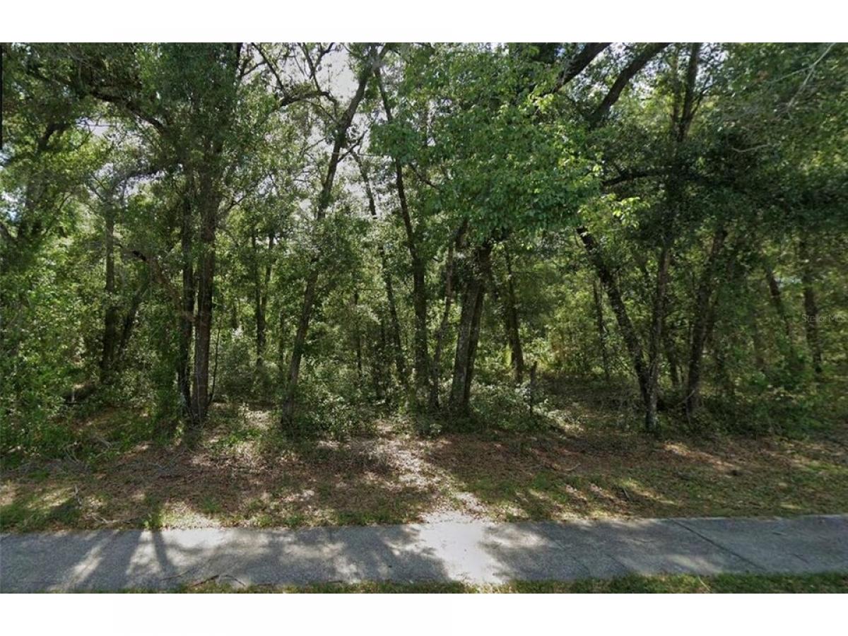 Picture of Residential Land For Sale in Lake Helen, Florida, United States