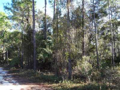 Residential Land For Sale in Deland, Florida