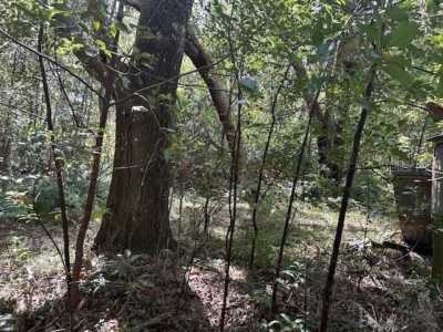 Residential Land For Sale in Seville, Florida