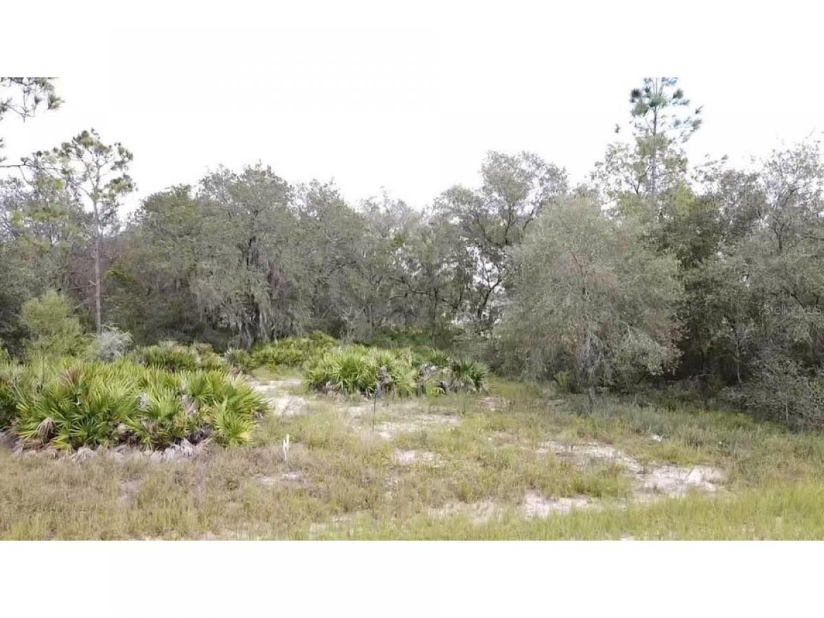 Picture of Residential Land For Sale in Poinciana, Florida, United States