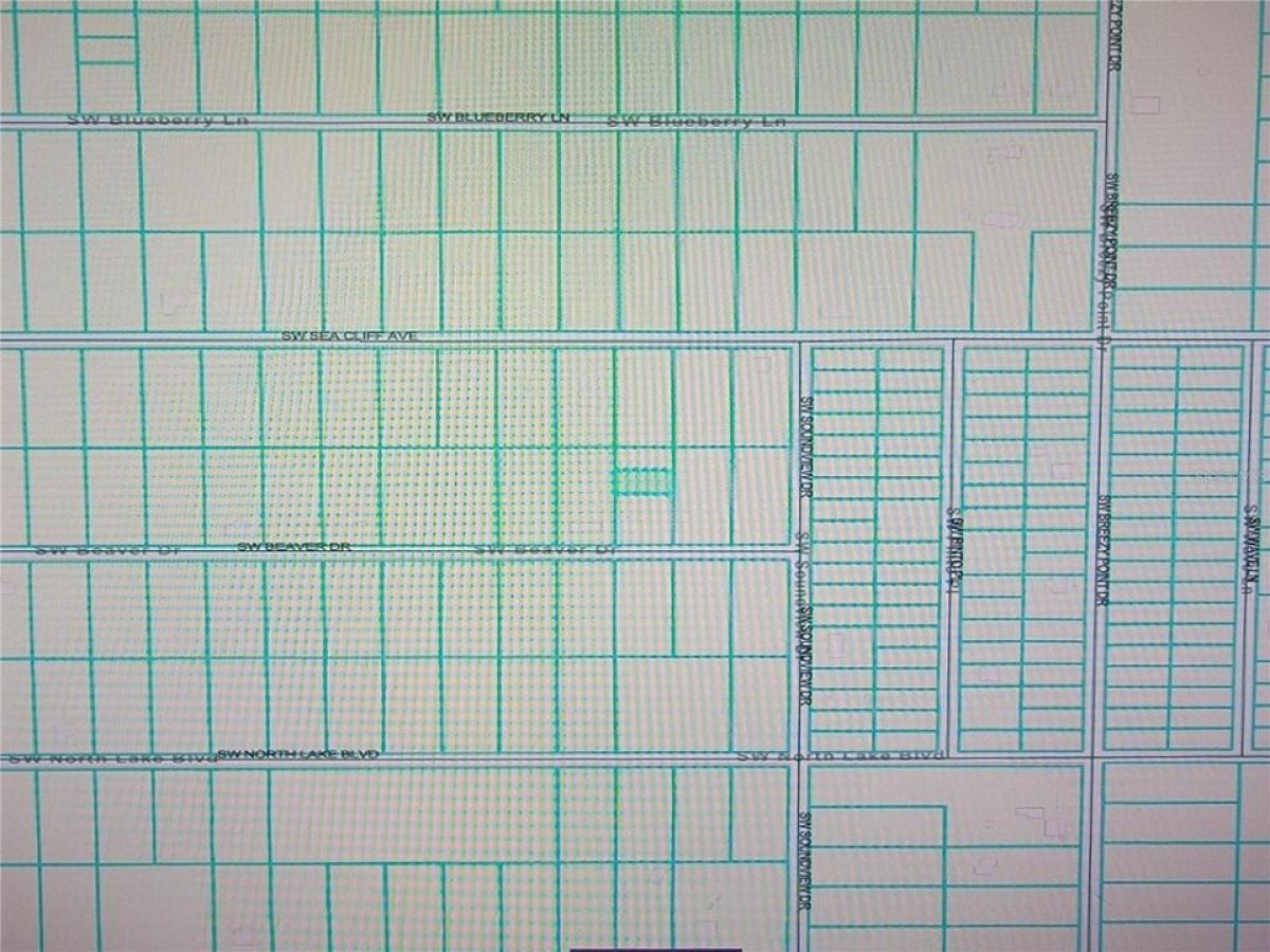 Picture of Residential Land For Rent in Dunnellon, Florida, United States