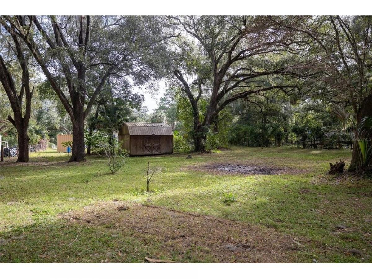 Picture of Residential Land For Sale in Fort Mc Coy, Florida, United States