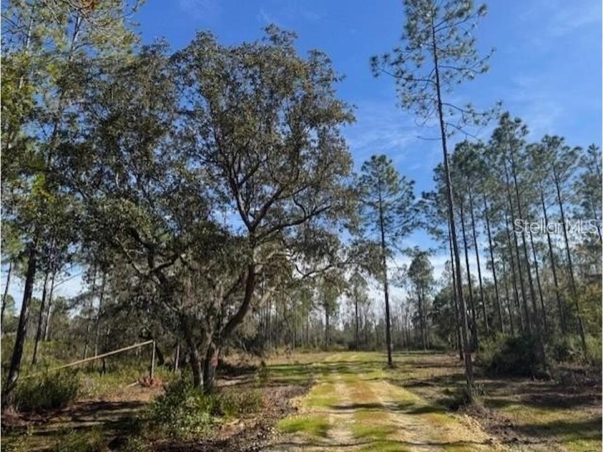 Picture of Residential Land For Sale in Fort Mc Coy, Florida, United States
