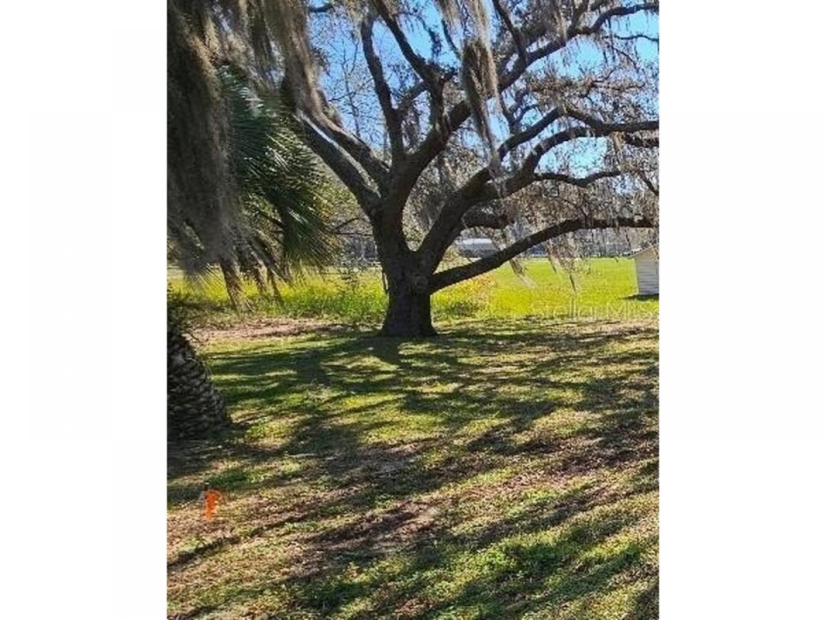 Picture of Residential Land For Sale in Summerfield, Florida, United States