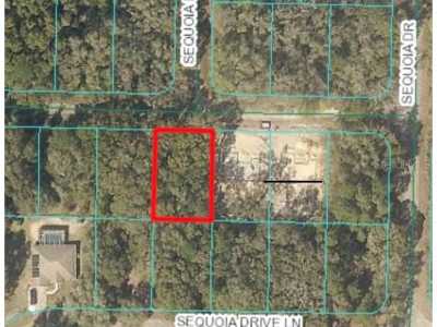 Residential Land For Sale in Ocklawaha, Florida