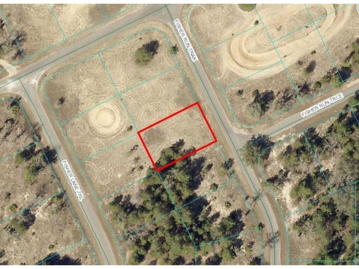 Picture of Residential Land For Sale in Ocklawaha, Florida, United States