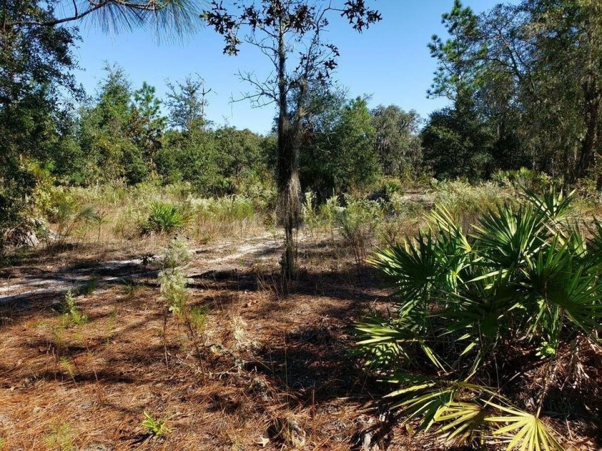 Picture of Residential Land For Sale in Archer, Florida, United States