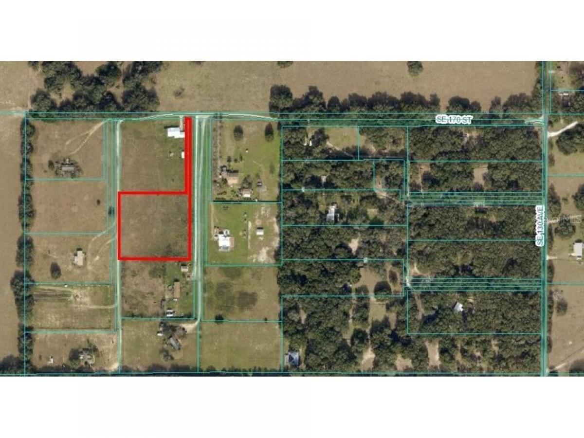 Picture of Residential Land For Sale in Weirsdale, Florida, United States