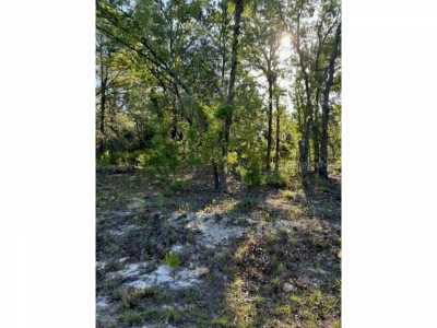Residential Land For Sale in Ocklawaha, Florida
