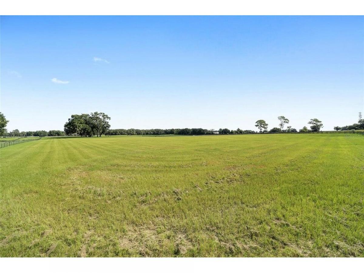 Picture of Residential Land For Sale in Citra, Florida, United States