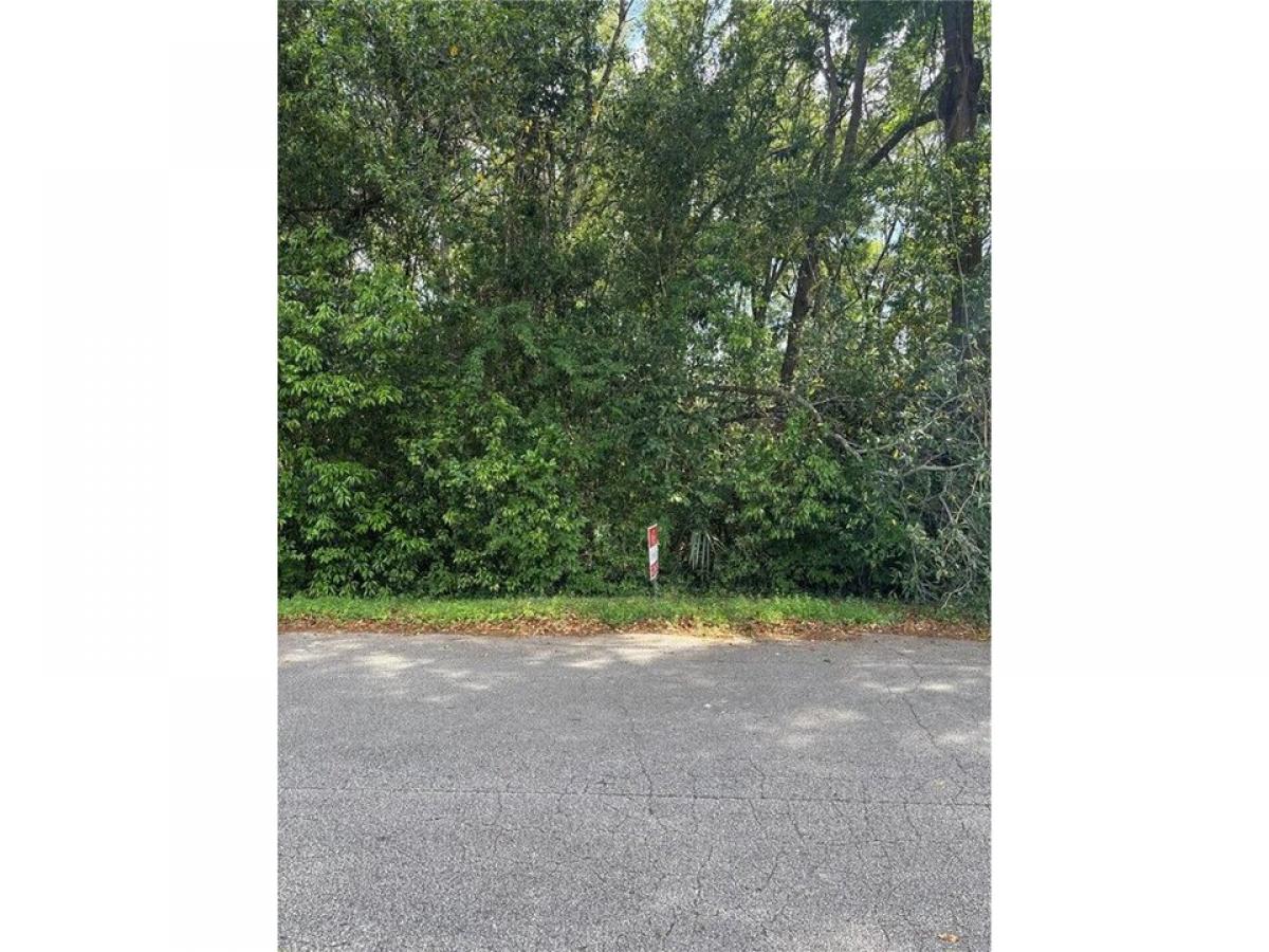 Picture of Residential Land For Sale in Summerfield, Florida, United States