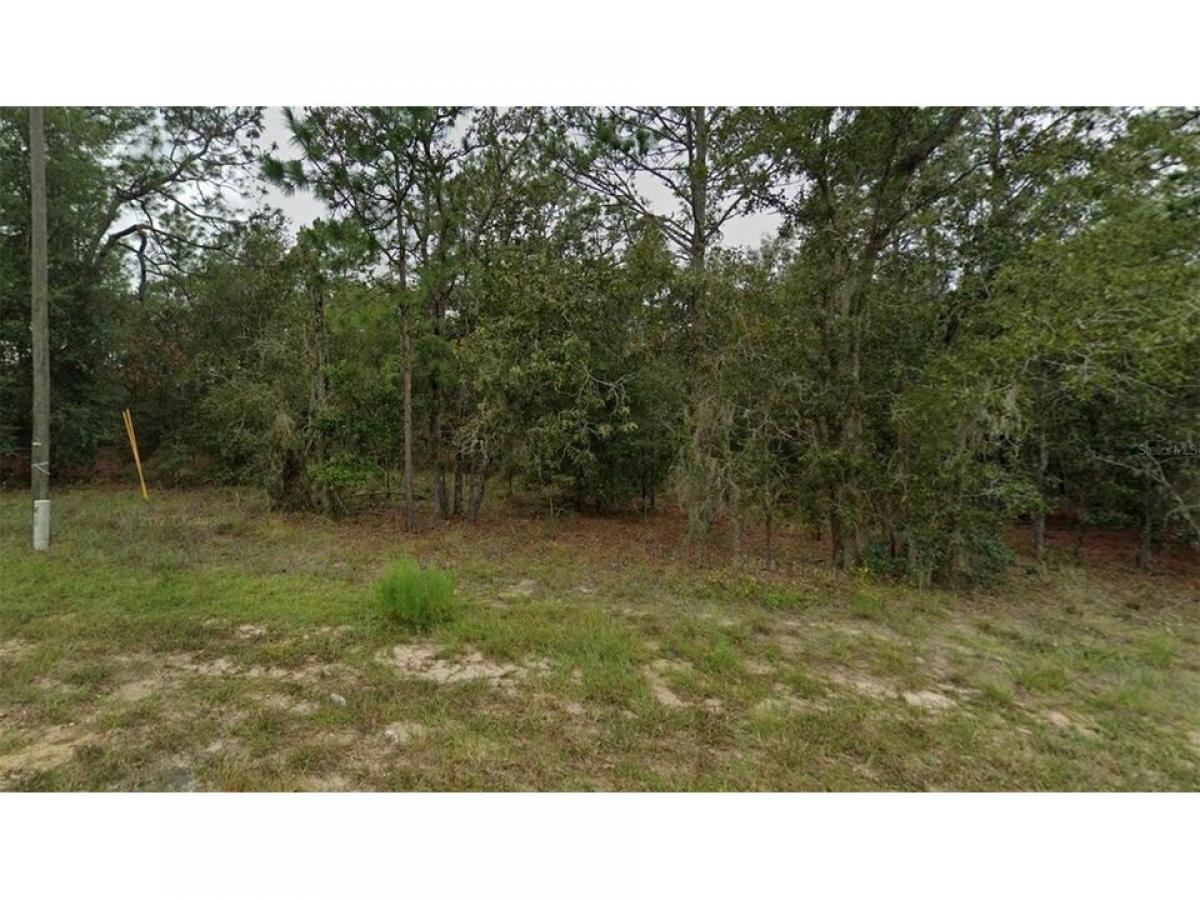 Picture of Residential Land For Sale in Williston, Florida, United States