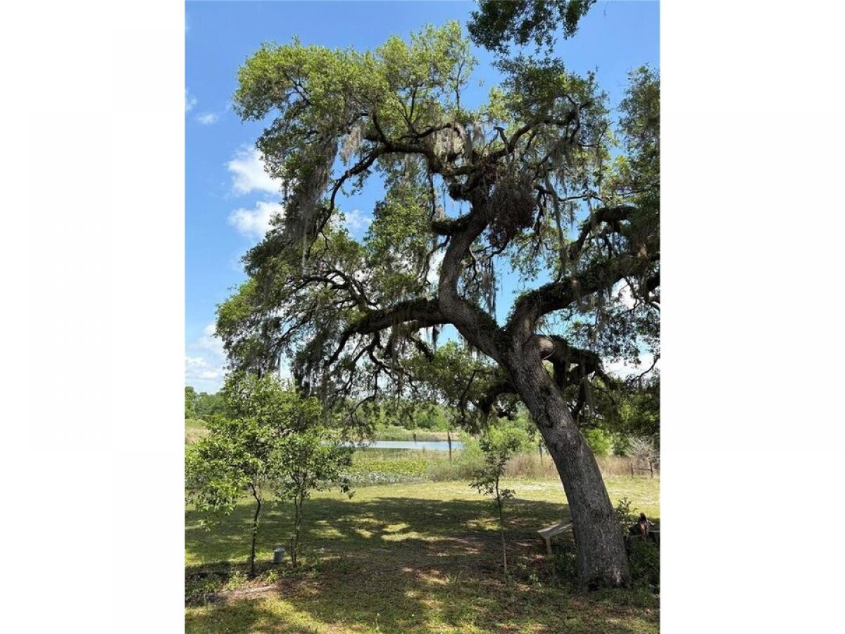 Picture of Residential Land For Sale in Floral City, Florida, United States