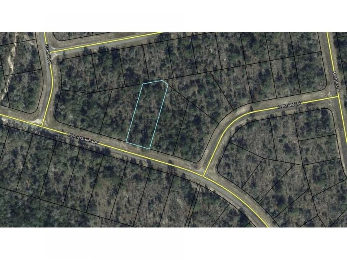 Picture of Residential Land For Rent in Chipley, Florida, United States