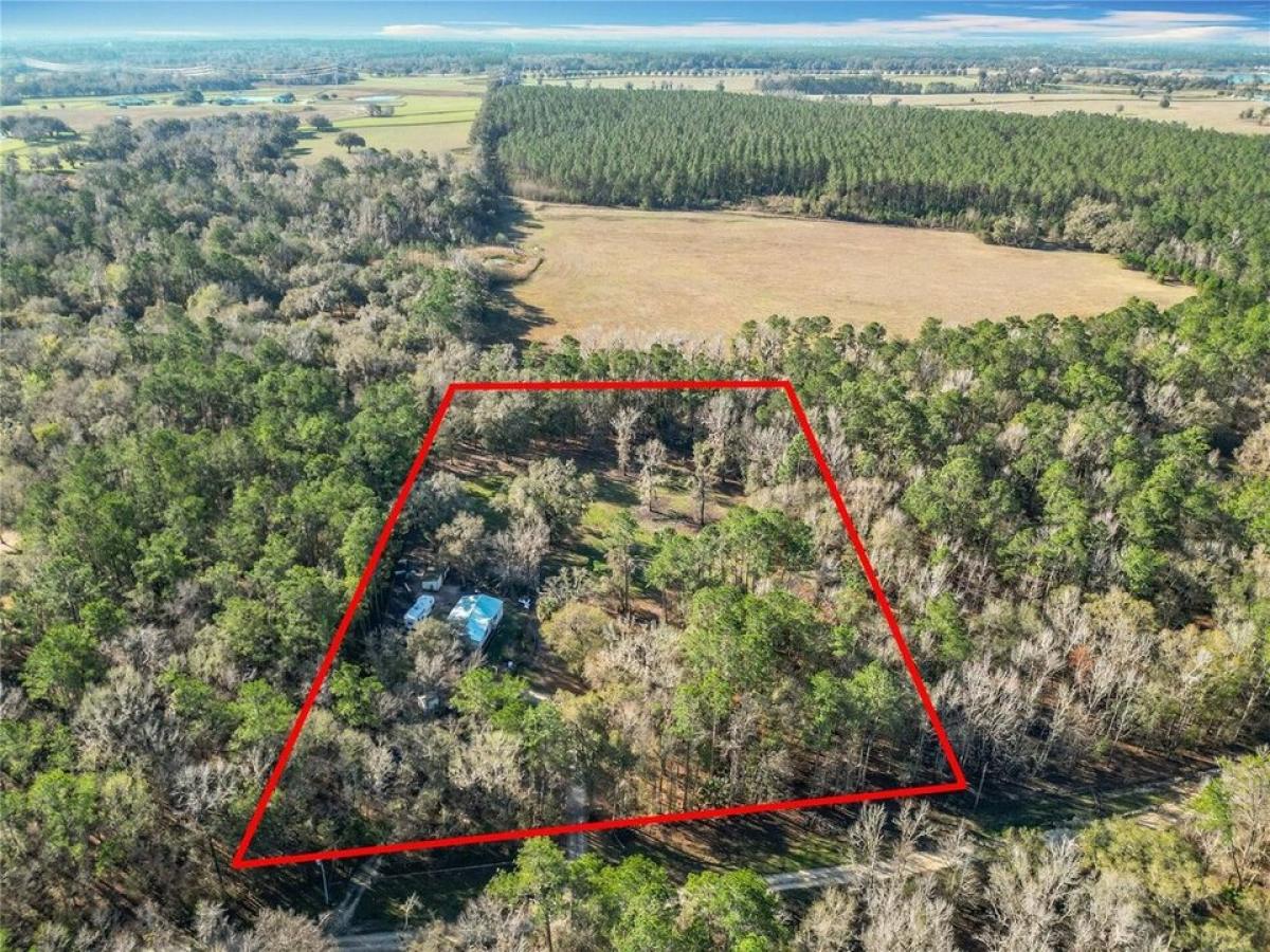 Picture of Home For Sale in Reddick, Florida, United States