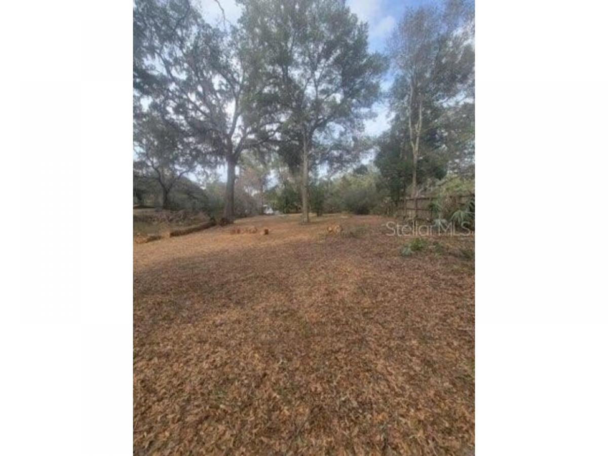 Picture of Residential Land For Sale in Ocklawaha, Florida, United States