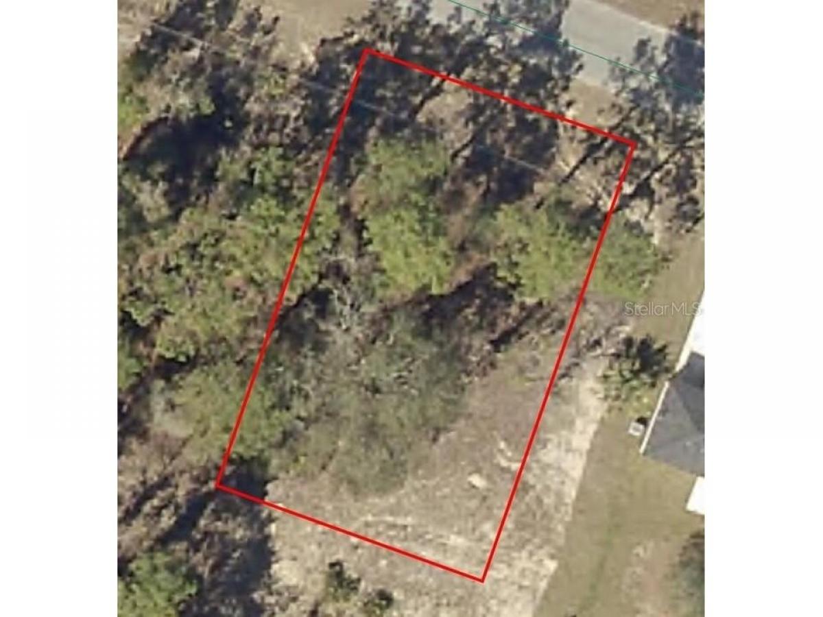 Picture of Residential Land For Sale in Ocklawaha, Florida, United States